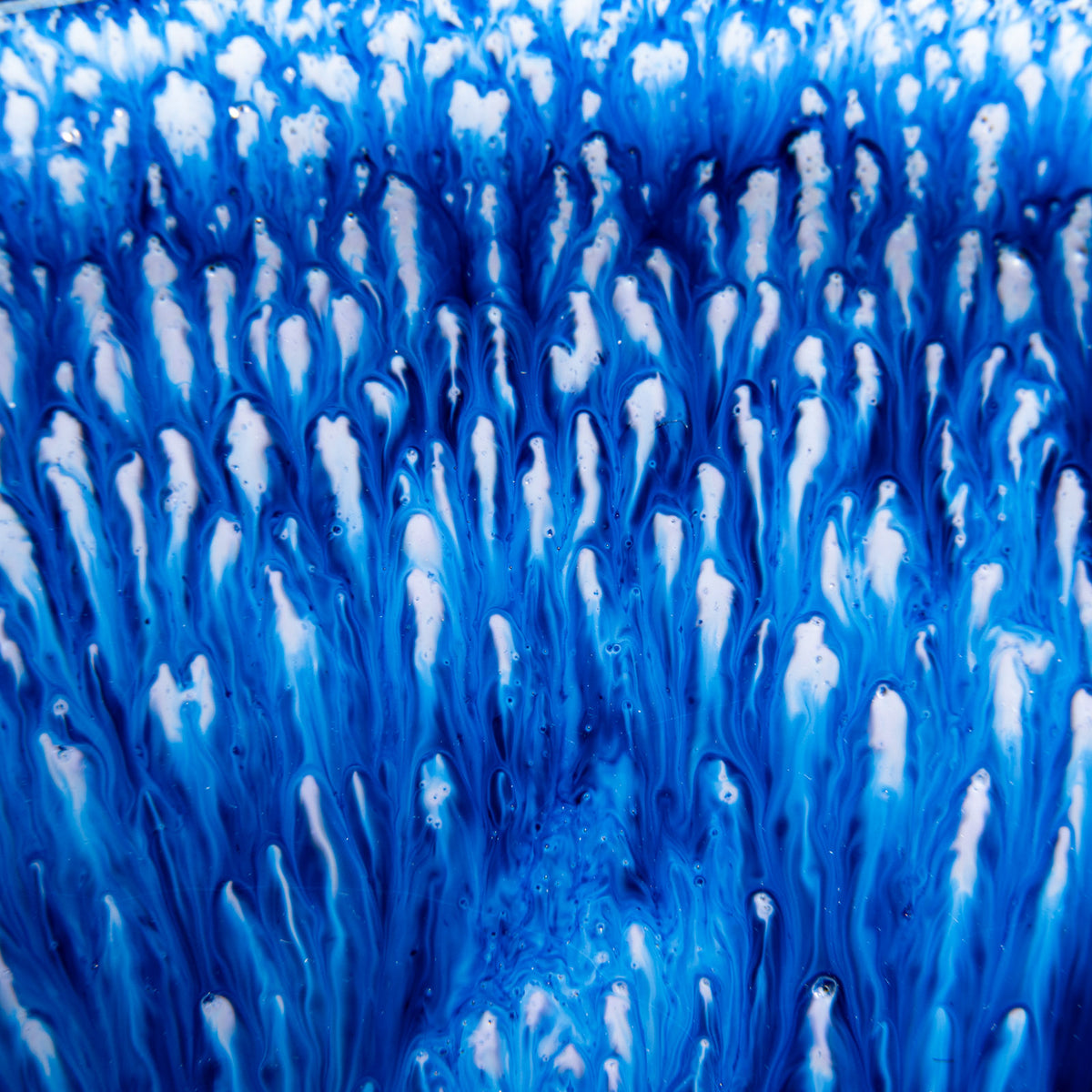 Alma de Agave Azul